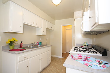 Gas Stove, Microwave in ea. Apt. Home